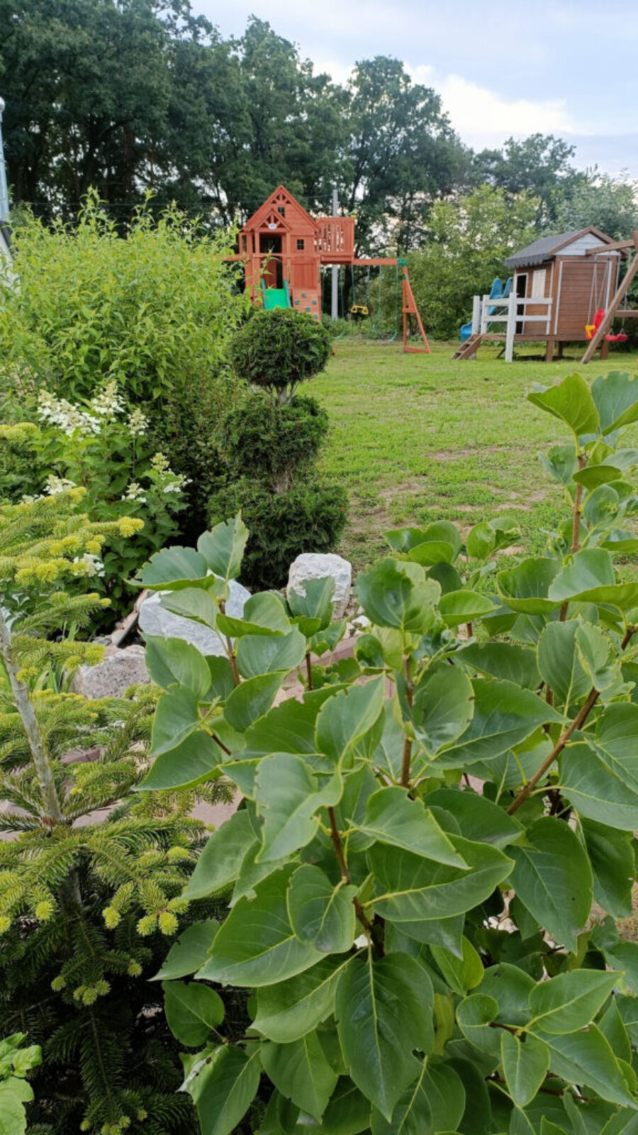 1000044596 1000044596